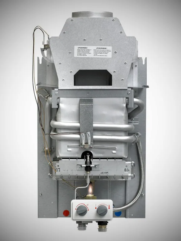 Vega - фото 2