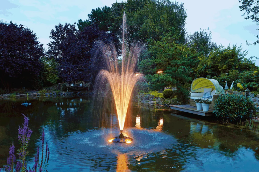 Pond-Jet - фото 3