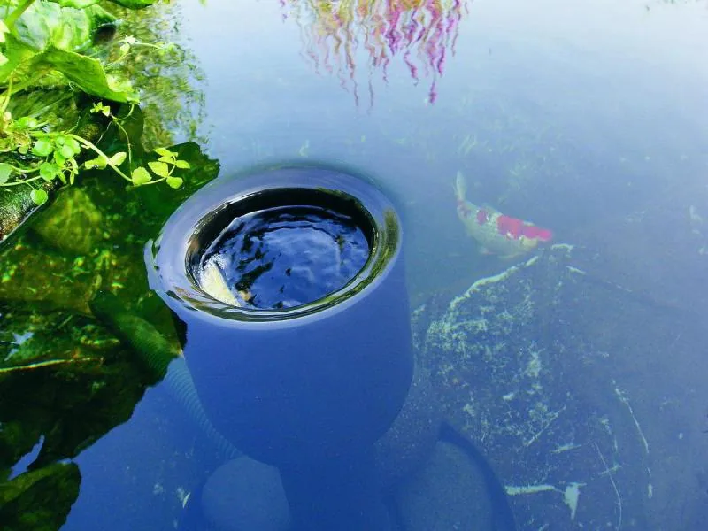 AquaSkim - фото 3