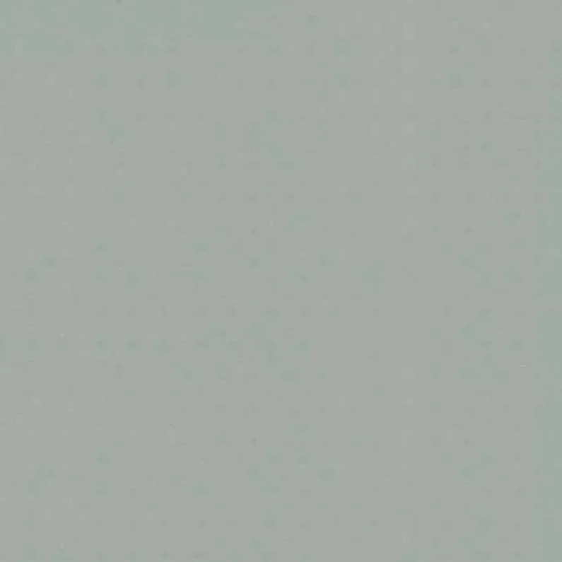 Classic Gris Clair - фото 2