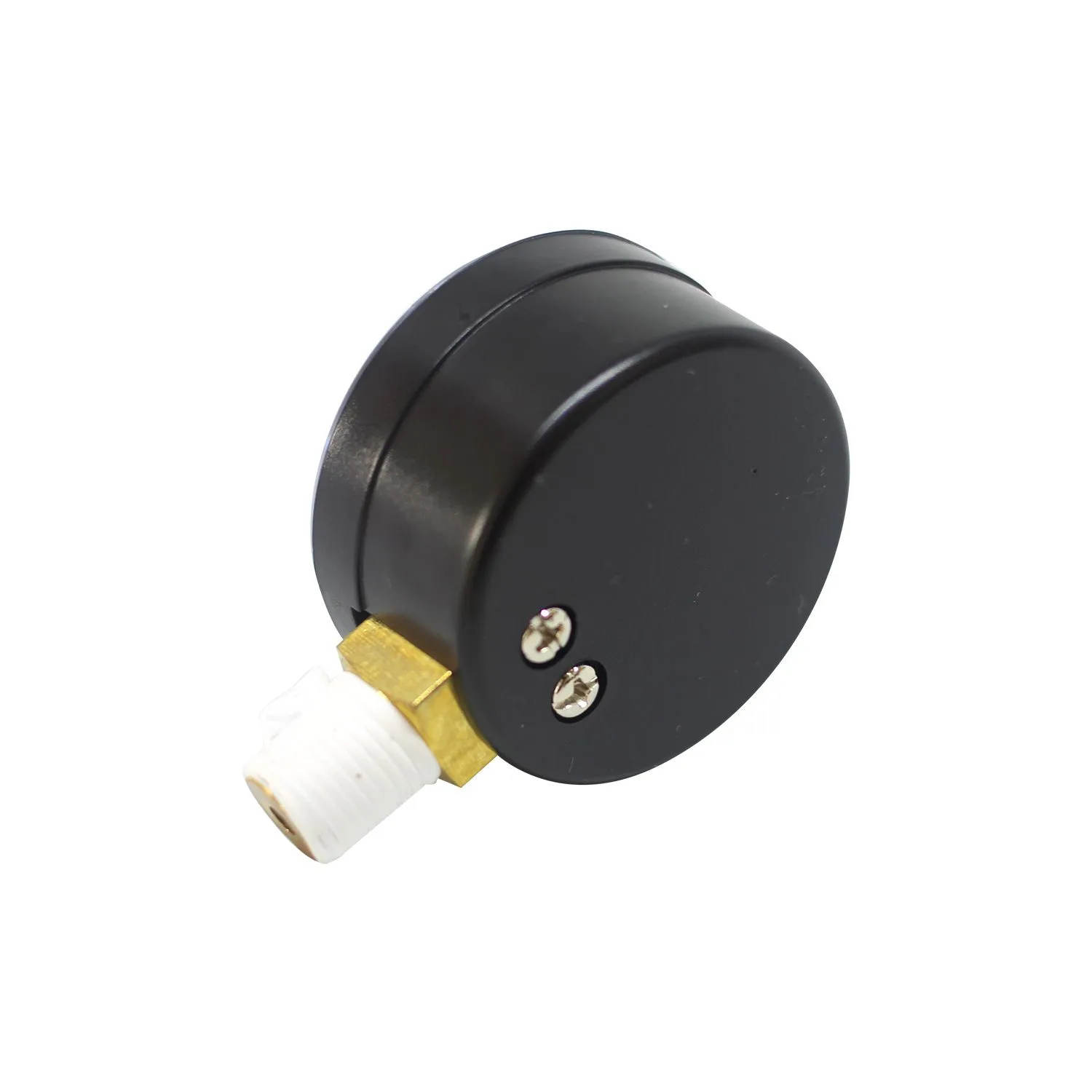 Манометр Hayward PWL ECX271261 - фото 2