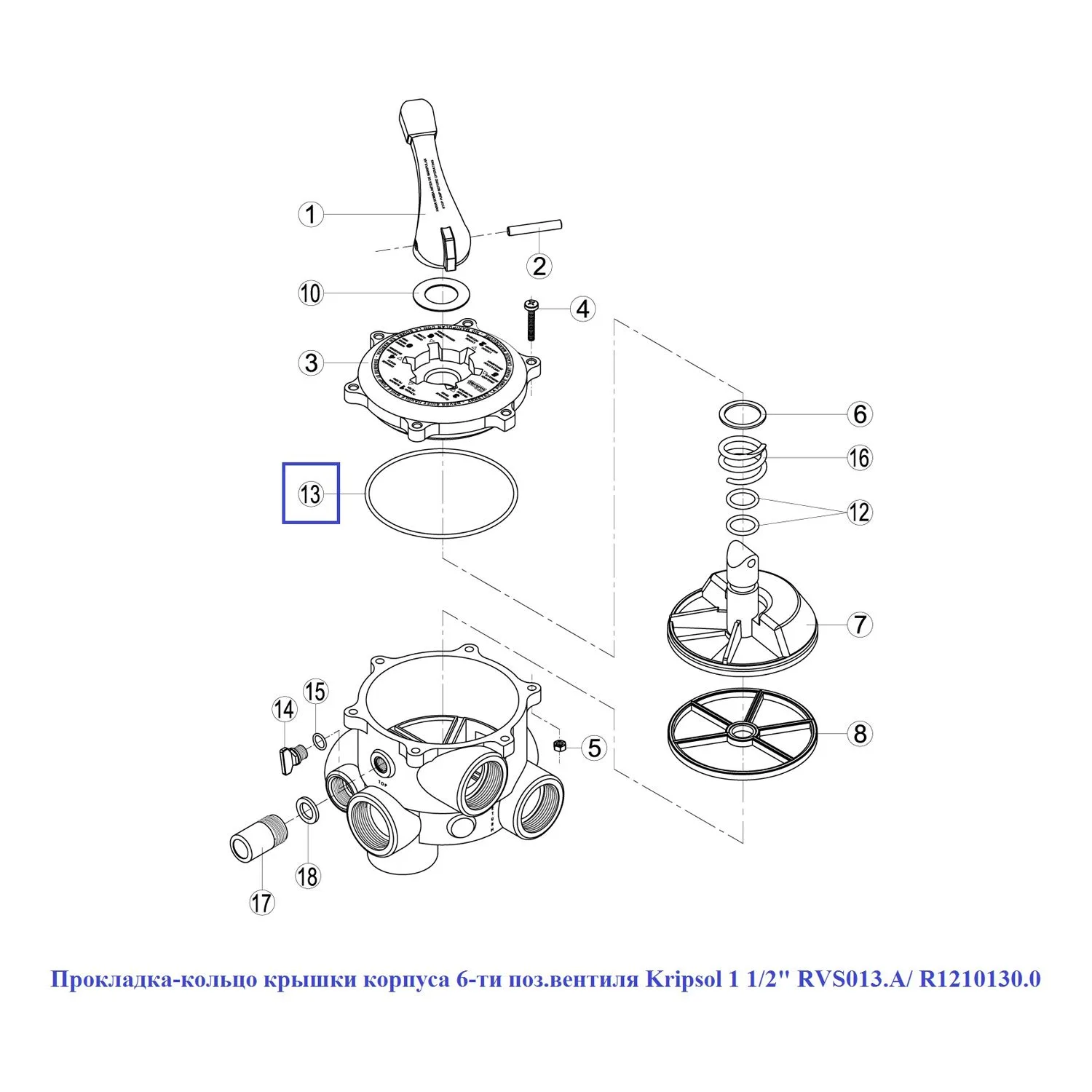 Прокладка-кольцо крышки корпуса 6-ти поз.вентиля Kripsol 1 1/2" RVS013.A/ R1210130.0 - фото 2