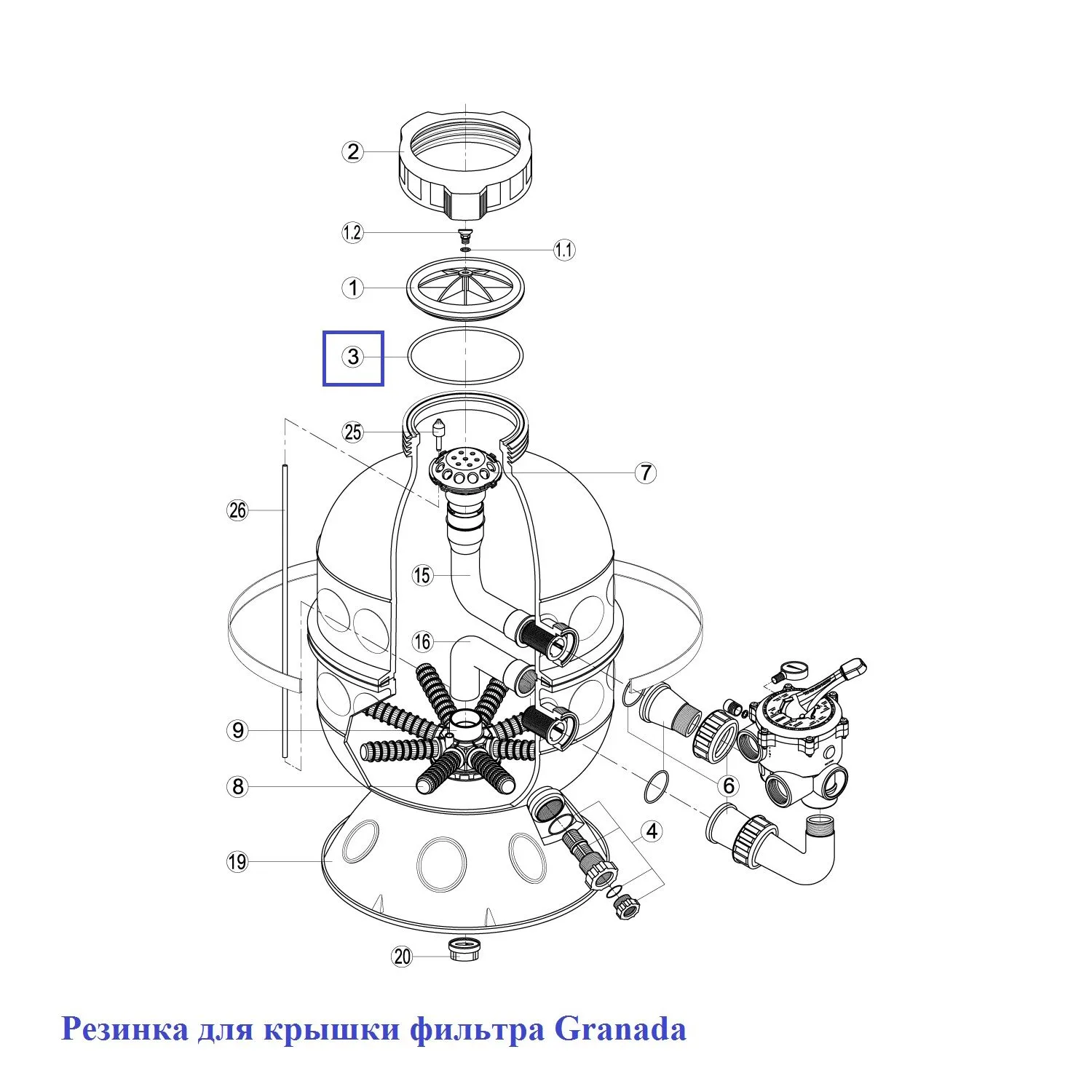 Прокладка-кольцо фланца бочки фильтра Granada RGR030.A\RRFI0003.00R - фото 2